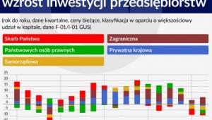 Wkład sektorów własności we wzrost inwestycji przedsiębiorstw