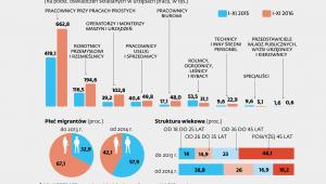 W jakich zawodach pracodawcy zatrudniają Ukraińców