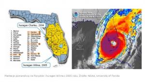 Plantacje pomarańczy na Florydzie i huragan Wilma z 2005 roku. Źródło: NOAA, University of Florida