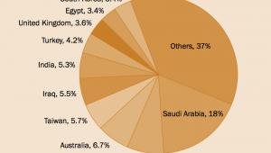 Udział 10 największych importerów broni z USA w latach 2013-2017
Źródło: SIPRI